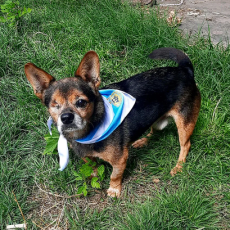 Coco